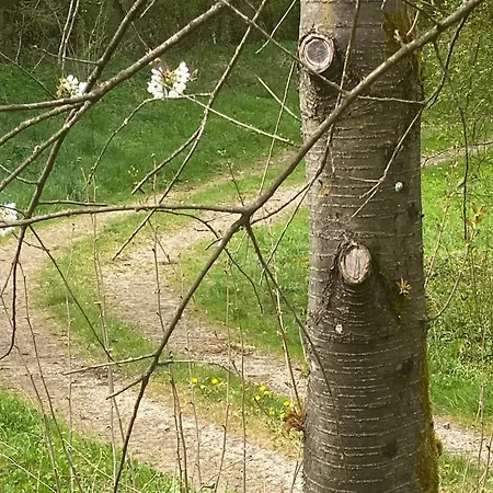 Rueblihaus * Sulzbach-Laufen