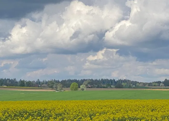 Rueblihaus Casa de Férias Sulzbach-Laufen